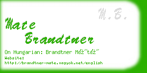 mate brandtner business card